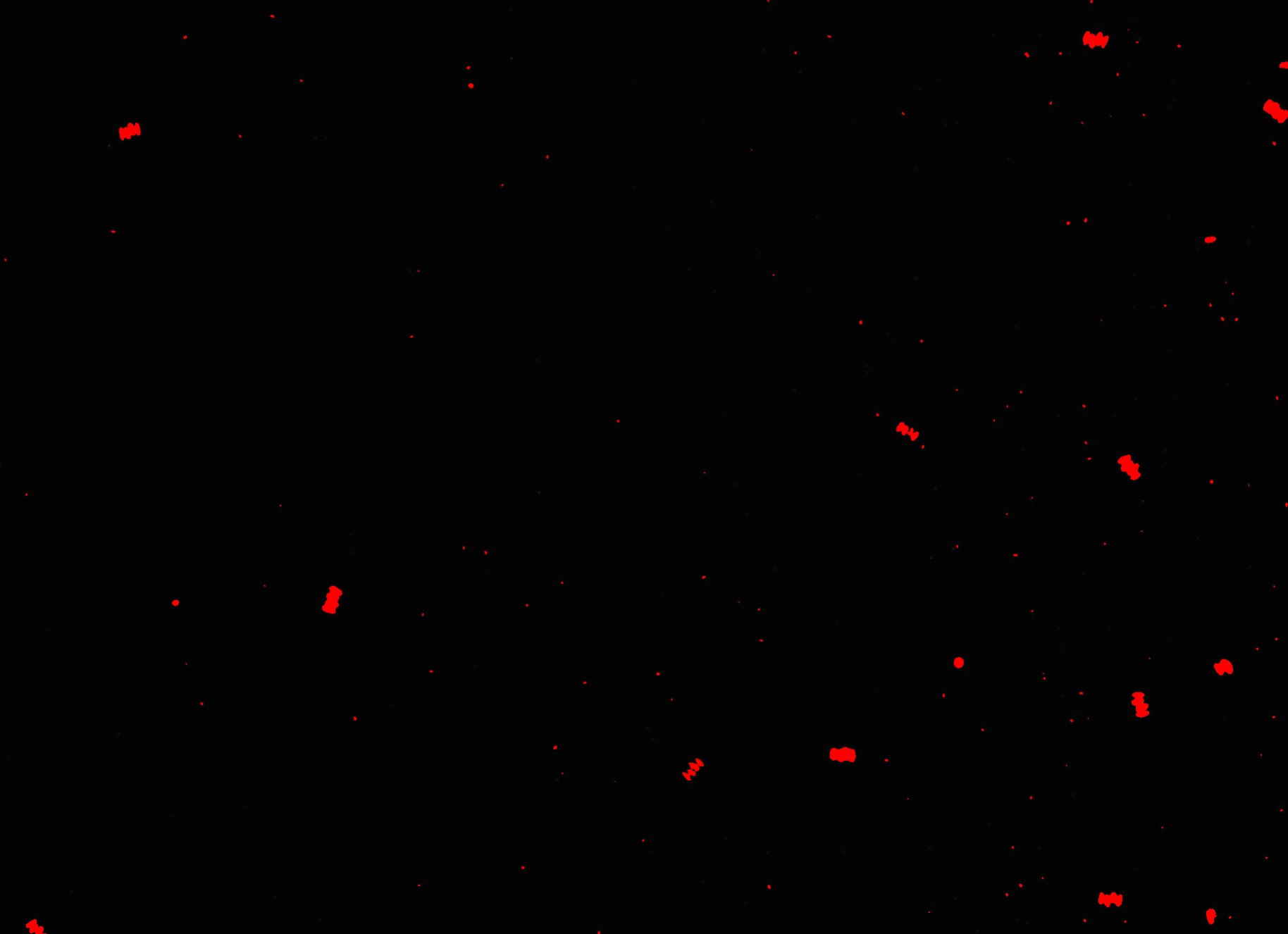 High-content imaging